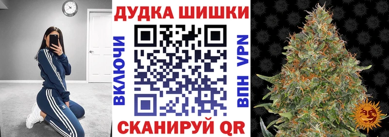 Бошки марихуана MAZAR  kraken зеркало  Купино 